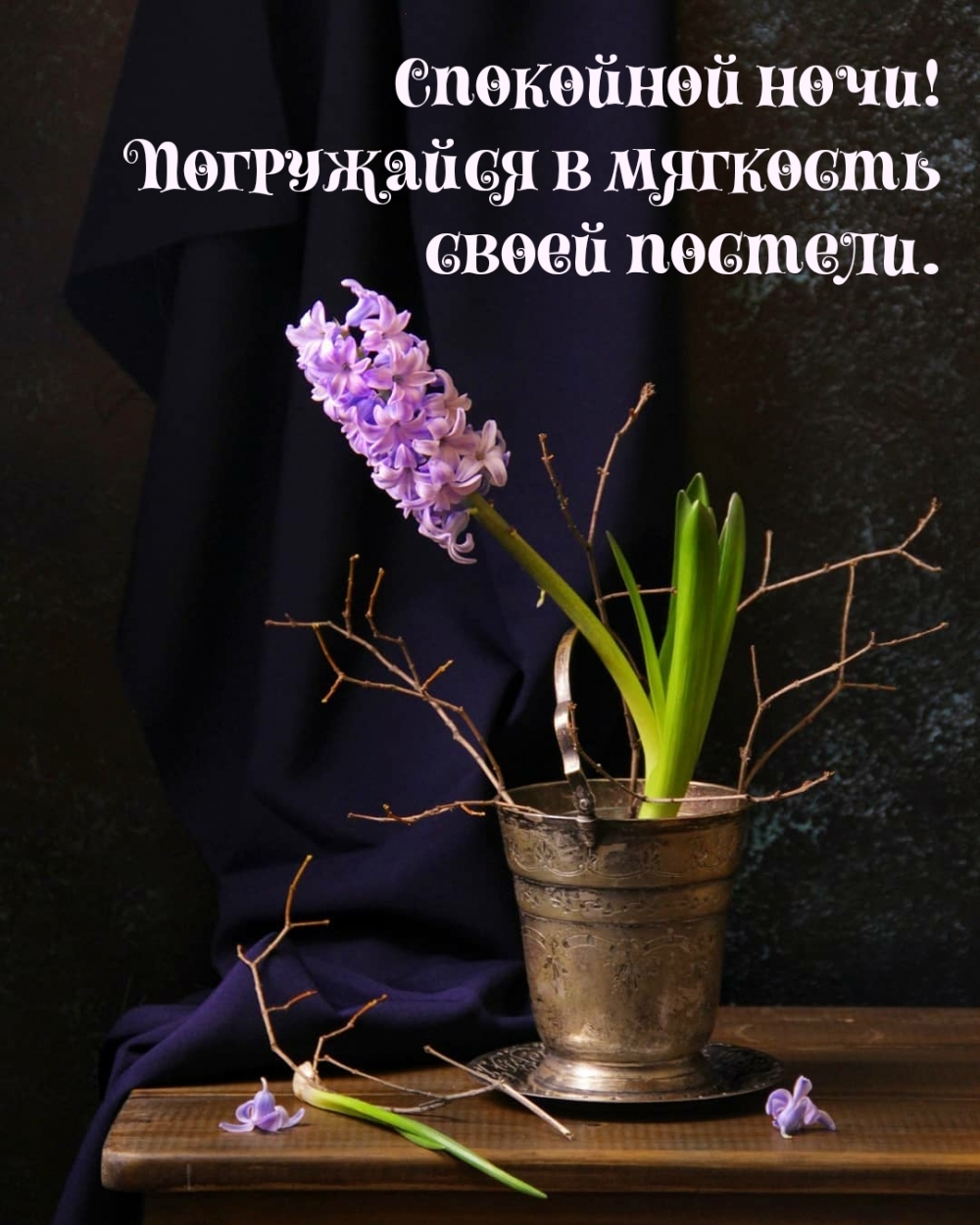 Спокойной ночи! Погружайся в мягкость своей постели.