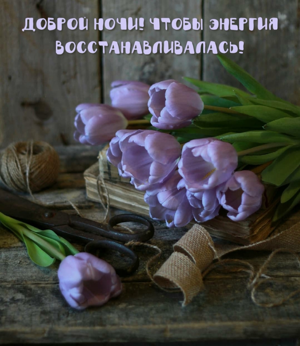 Доброй ночи! Чтобы энергия восстанавливалась!