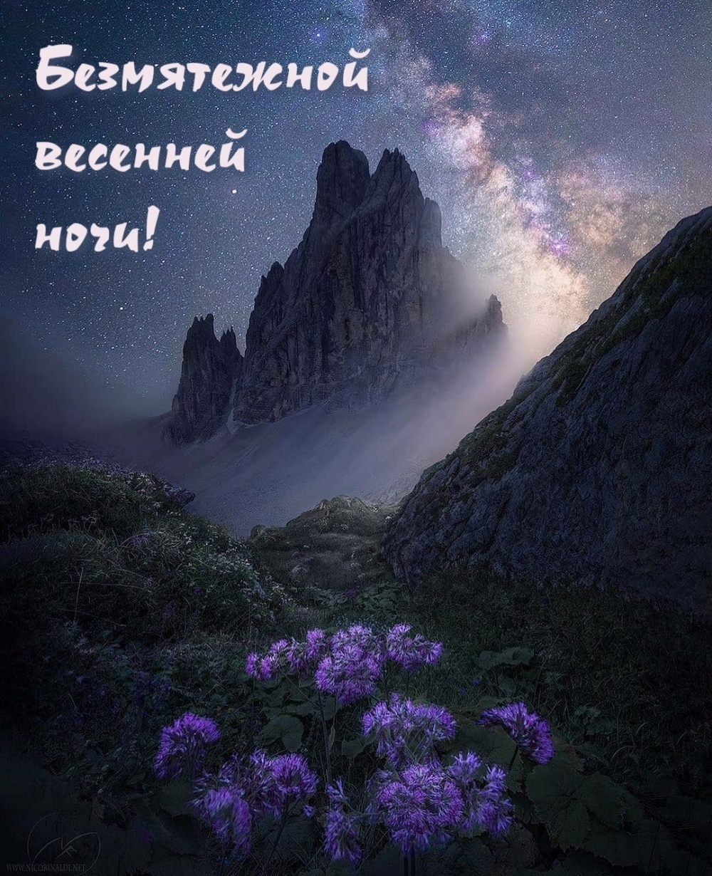 Безмятежной весенней ночи!