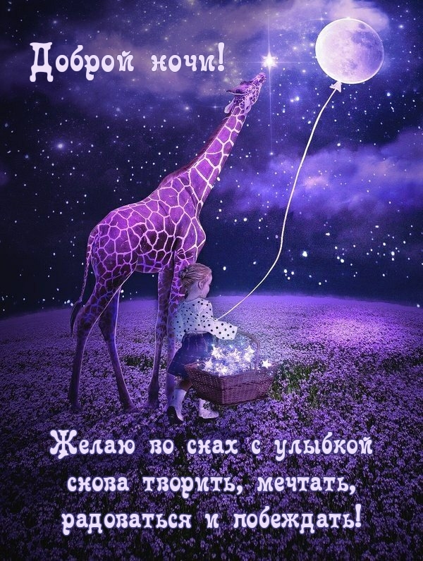 Доброй ночи! Желаю во снах с улыбкой снова творить