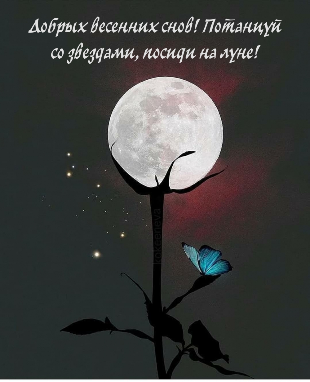 Добрых весенних снов! Потанцуй со звездами, посиди на луне!