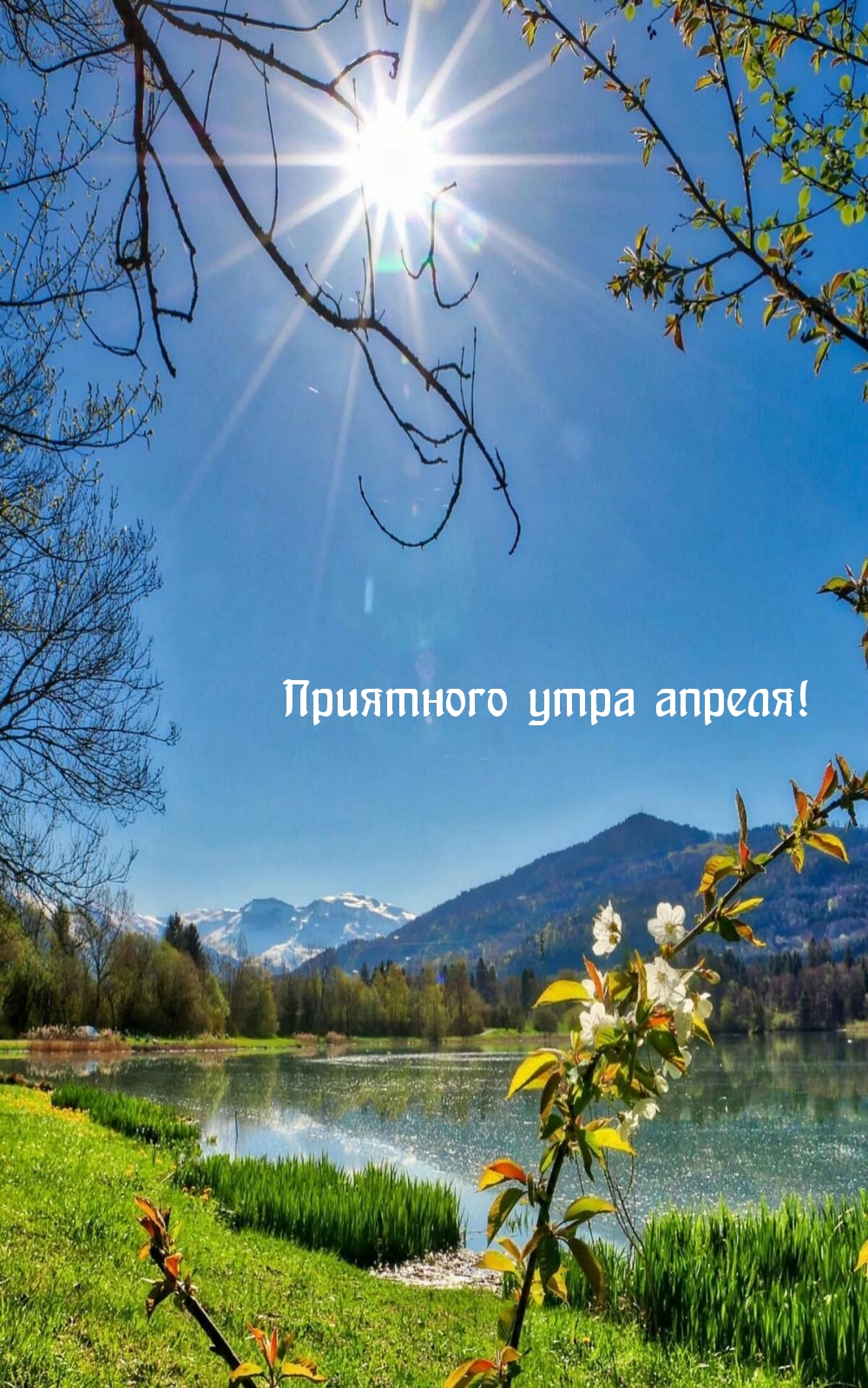 Приятного утра апреля!