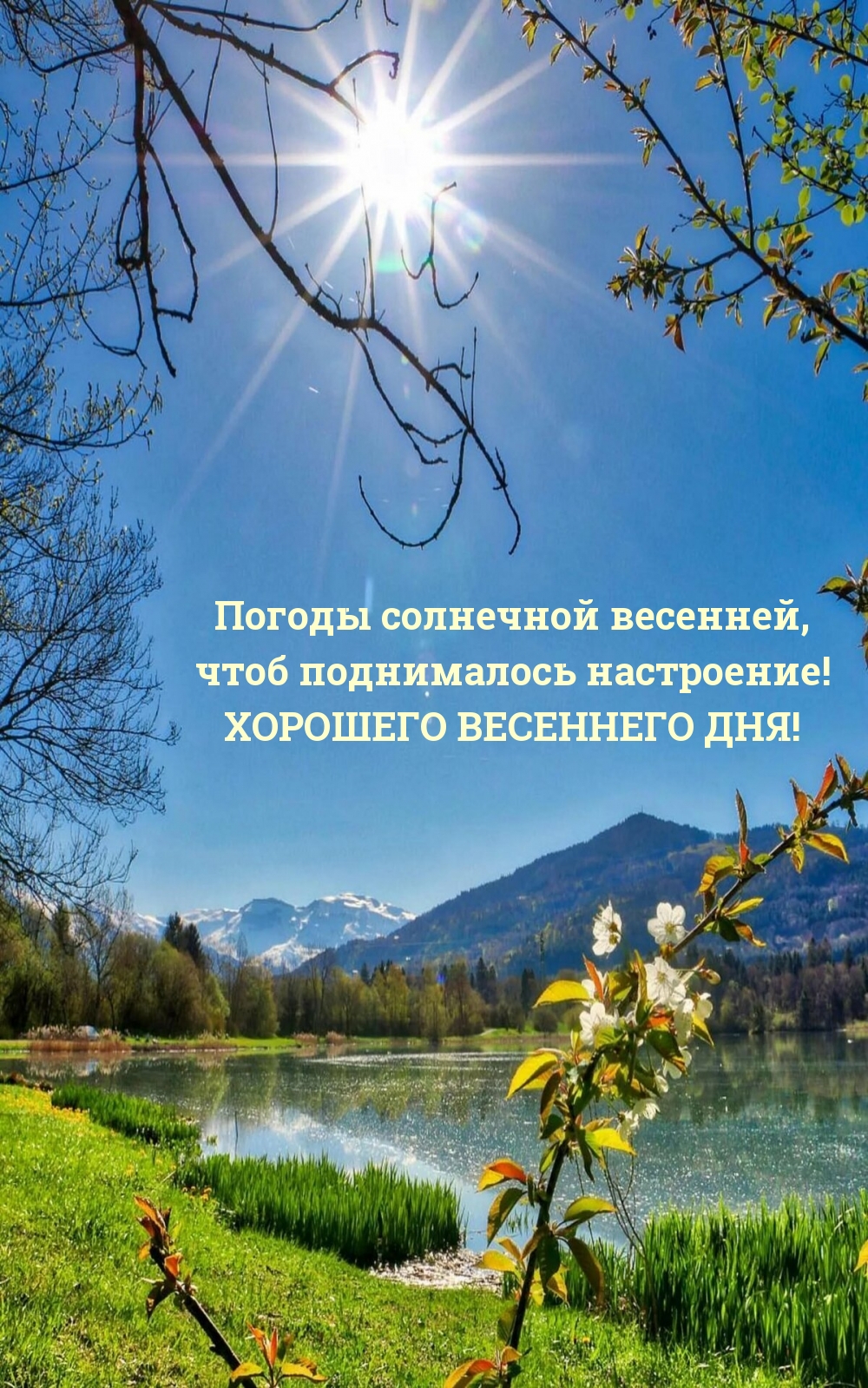 ХОРОШЕГО ВЕСЕННЕГО ДНЯ!  чтоб поднималось настроение!