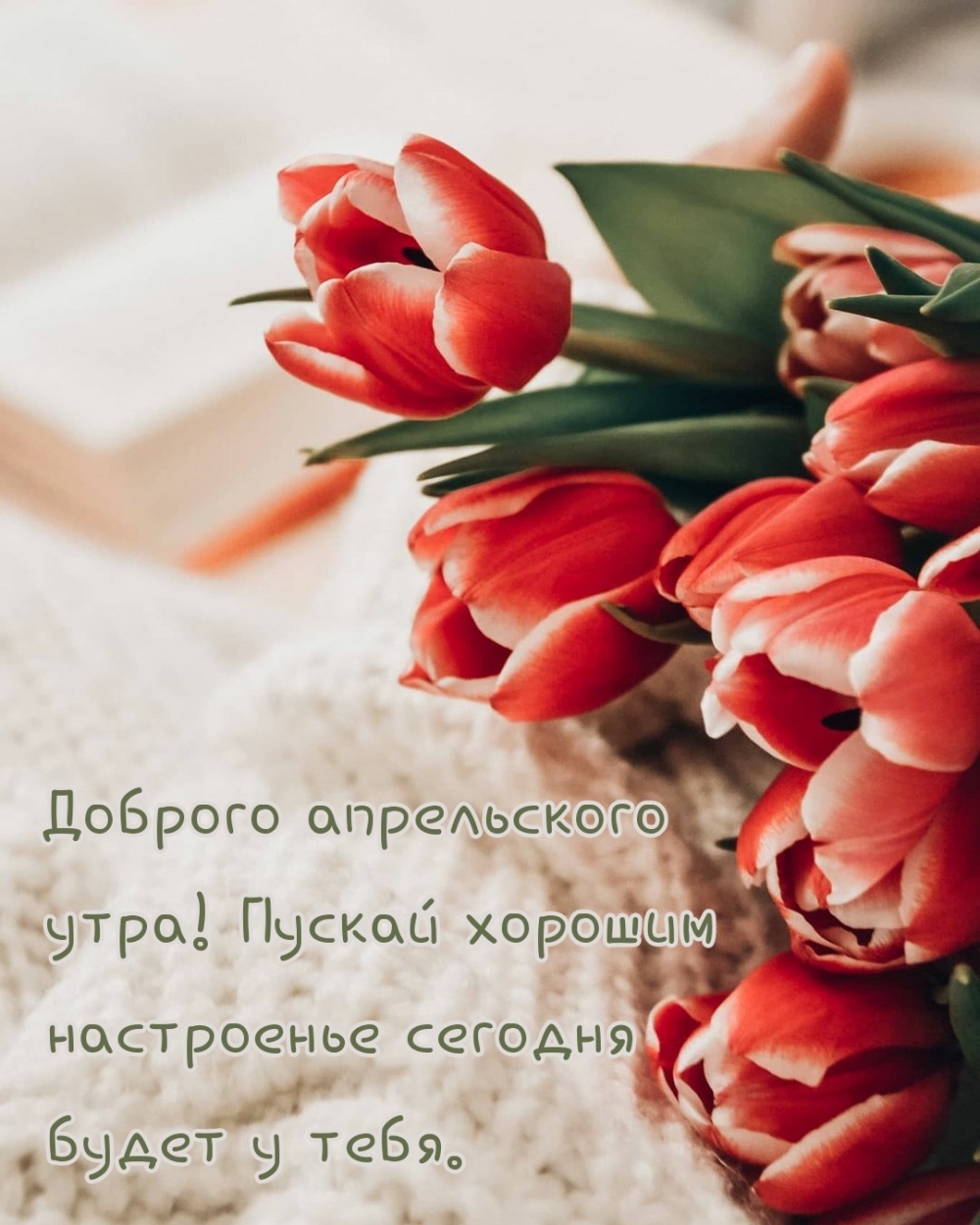 Доброго апрельского утра тебе от души желаю я!