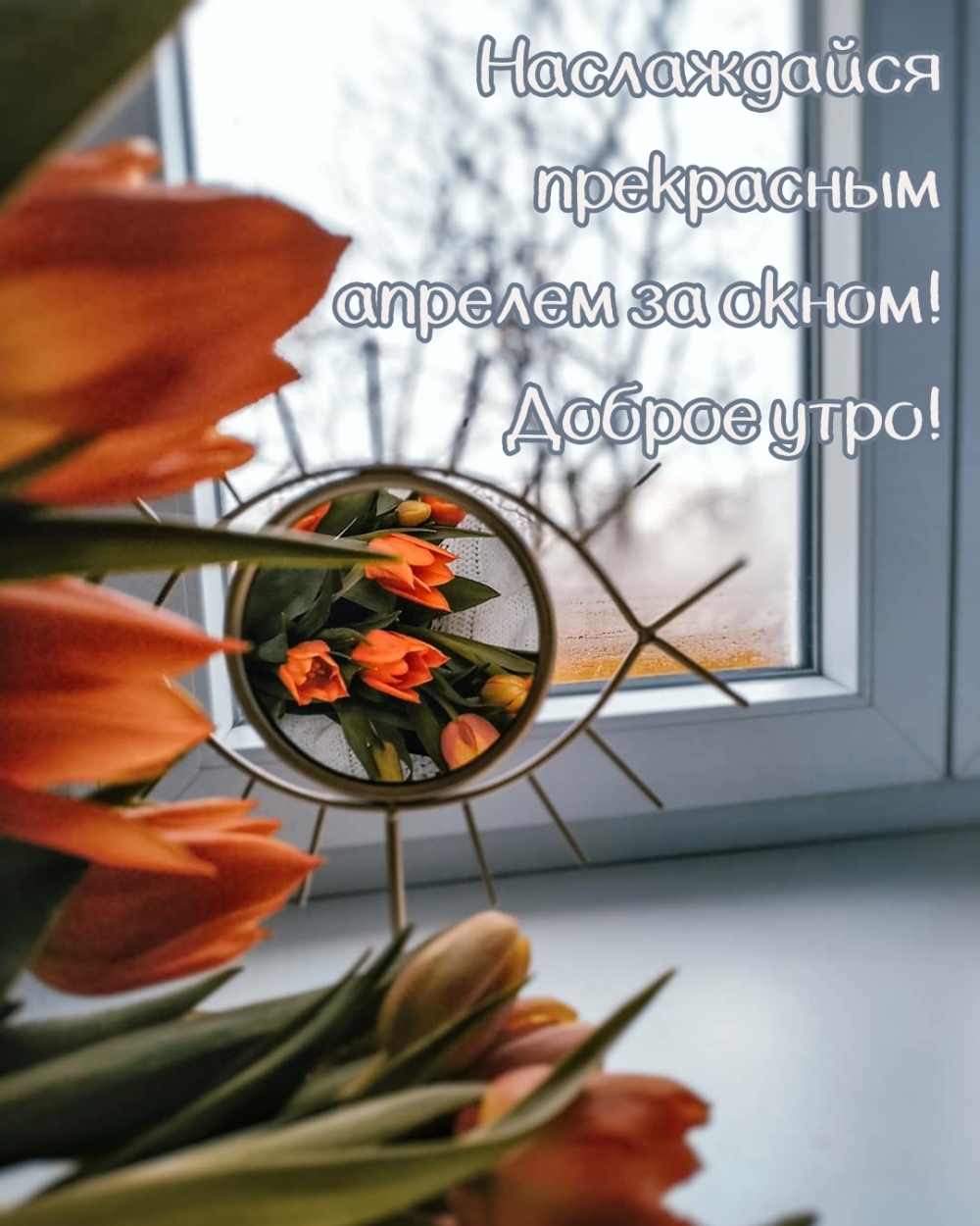 Наслаждайся прекрасным апрелем за окном! Доброе утро!