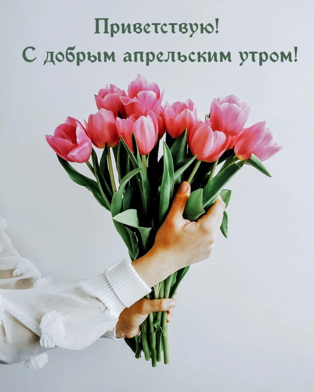 Приветствую! С добрым апрельским утром!