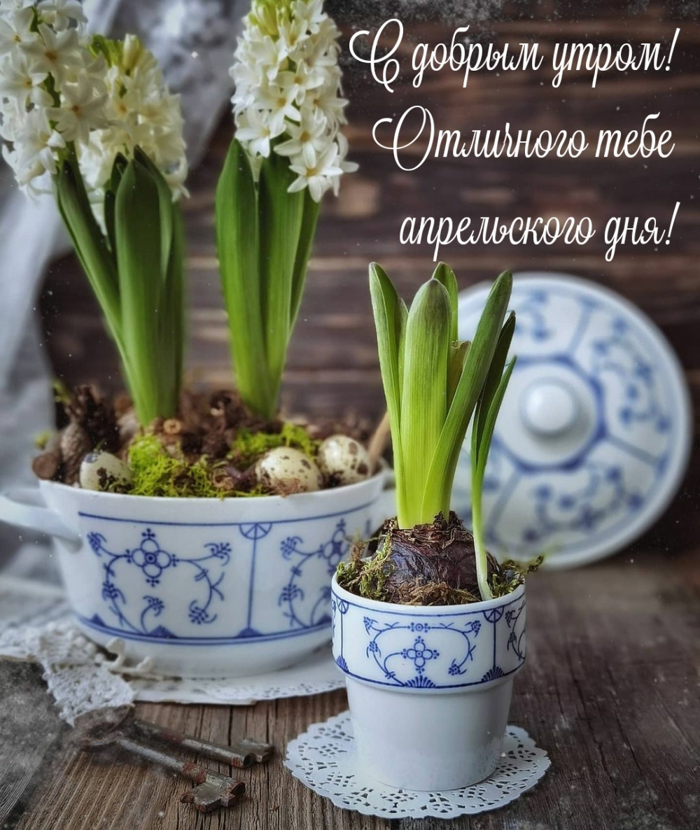 С добрым утром! Отличного тебе апрельского дня!
