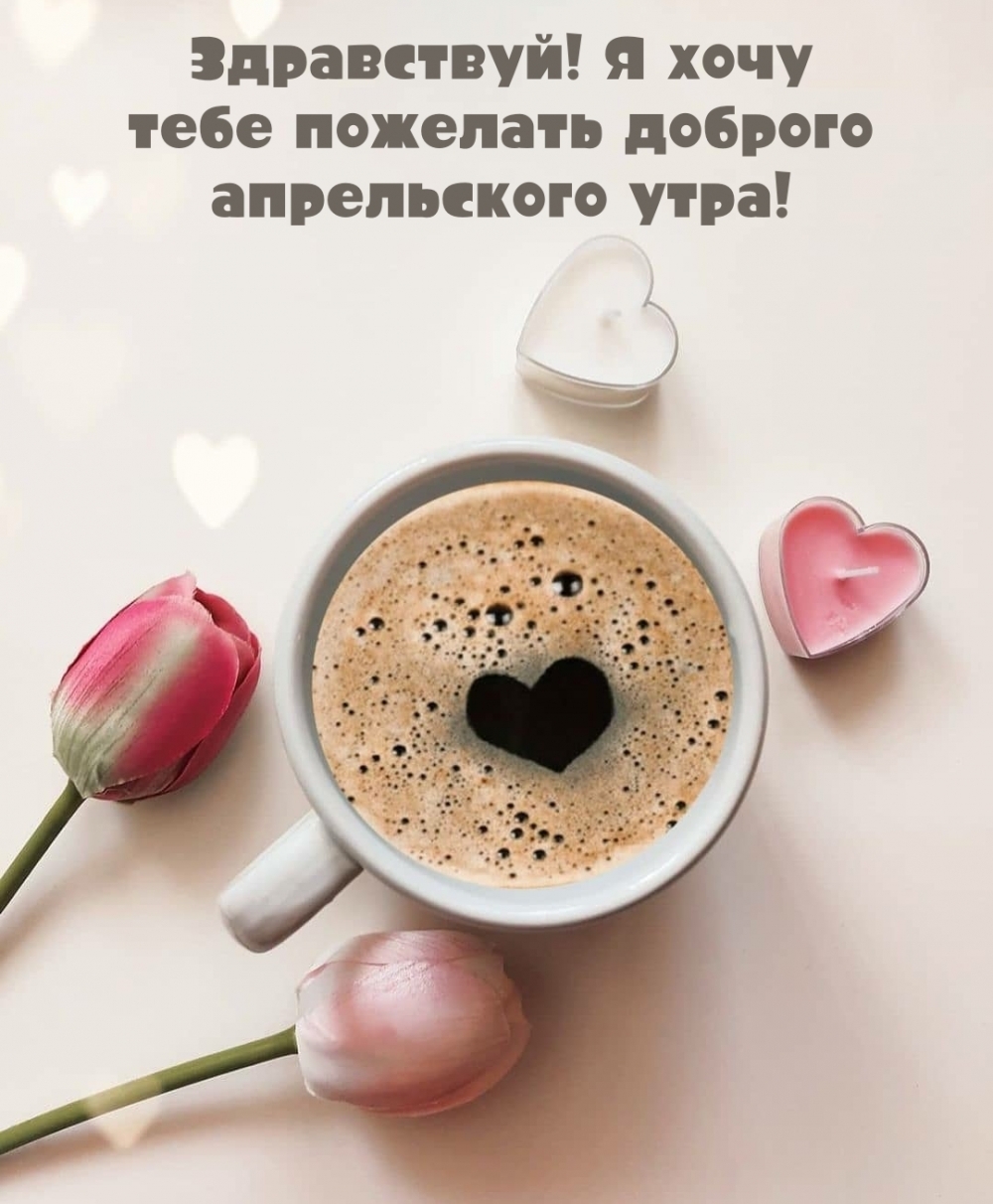 Здравствуй! Я хочу тебе пожелать доброго апрельского утра!