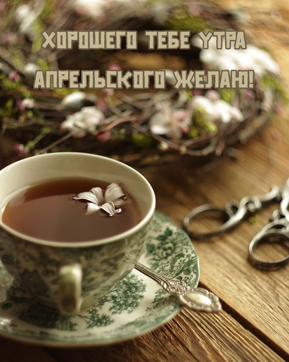 Хорошего тебе утра апрельского желаю!