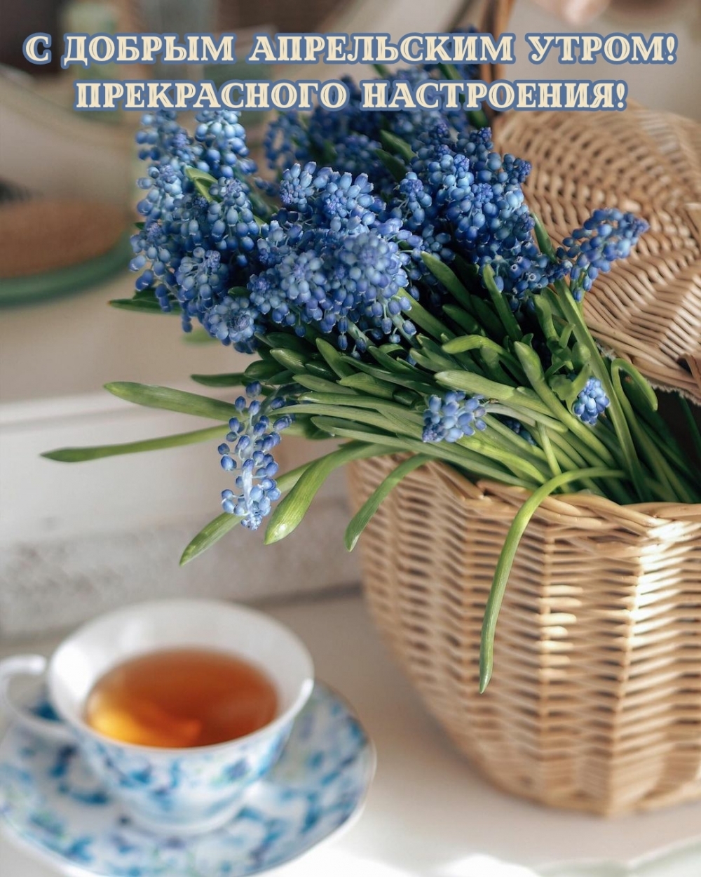 С добрым апрельским утром! Прекрасного настроения!