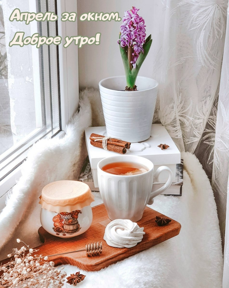 Апрель за окном. Доброе утро!