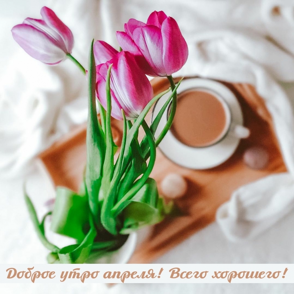 Доброе утро апреля! Всего хорошего!
