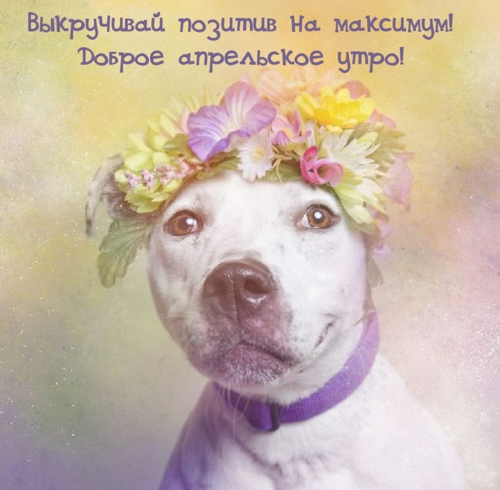 Выкручивай позитив на максимум! Доброе апрельское утро!