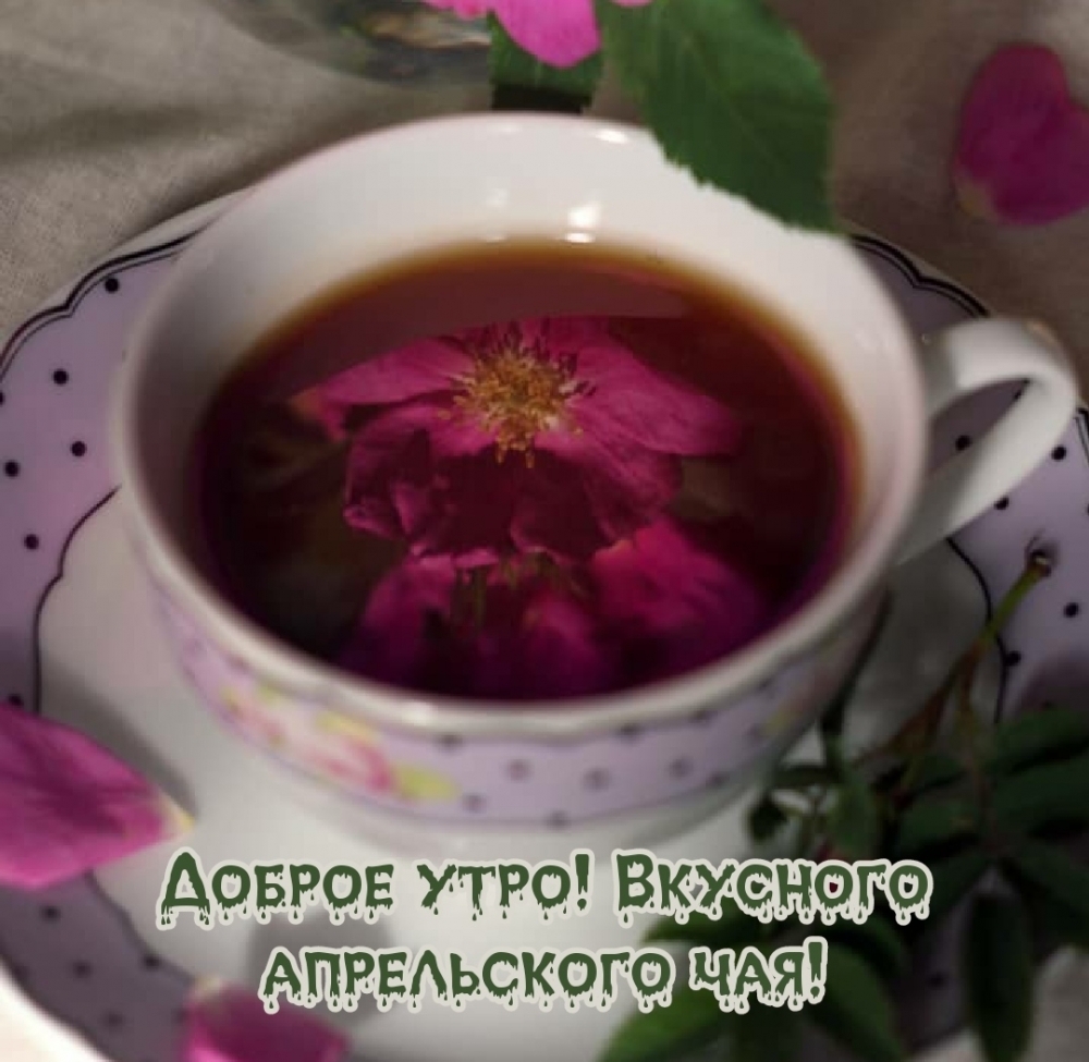 Доброе утро! Вкусного апрельского чая!