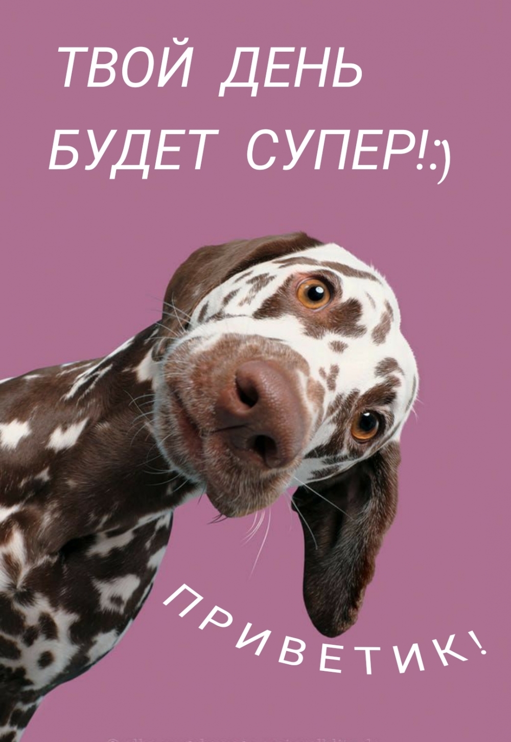 Приветик! Твой день будет супер!:)