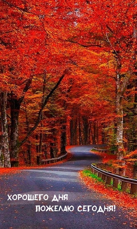 Хорошего дня пожелаю сегодня!