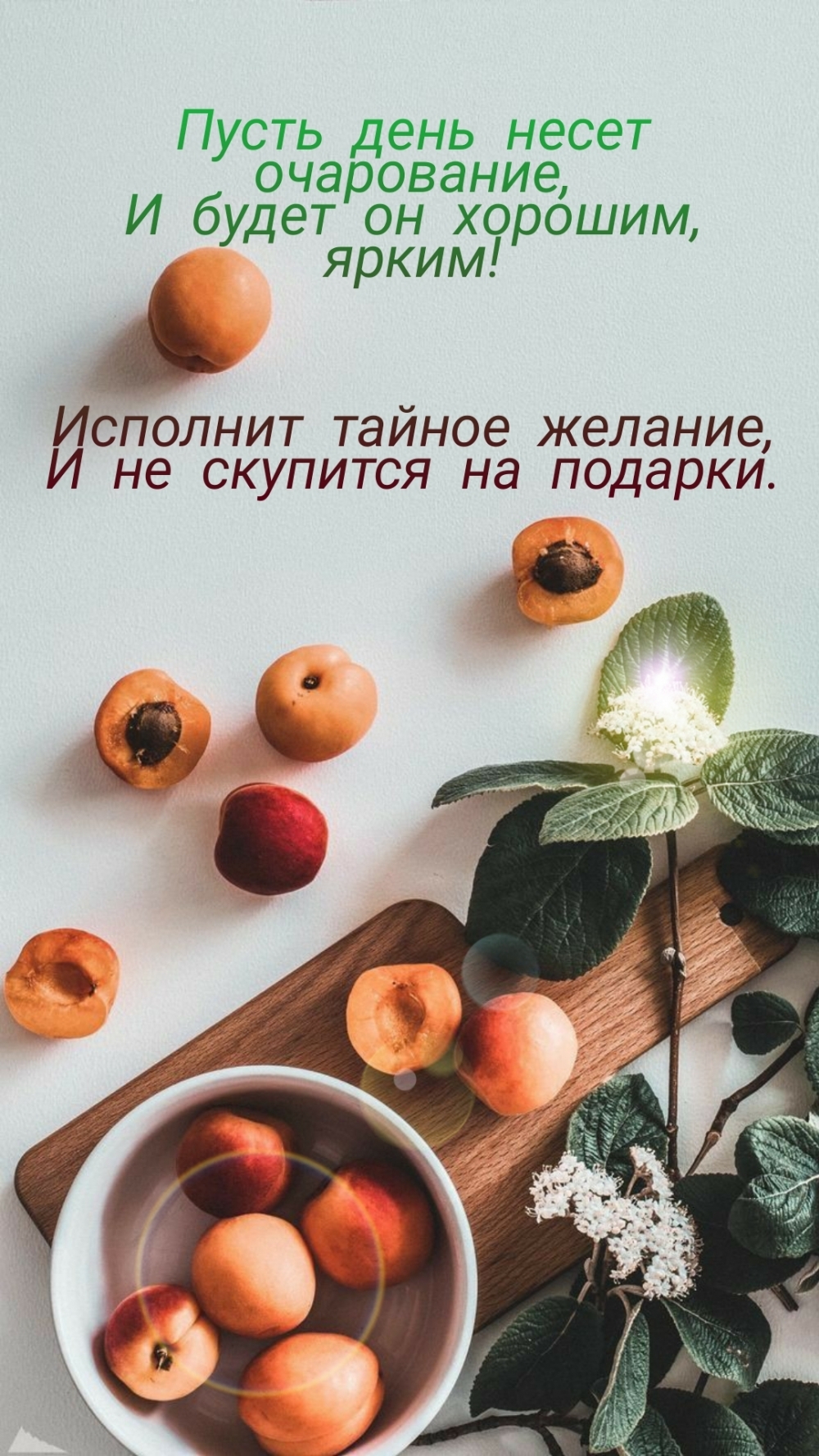 Пусть день несет очарование и будет он хорошим, ярким!