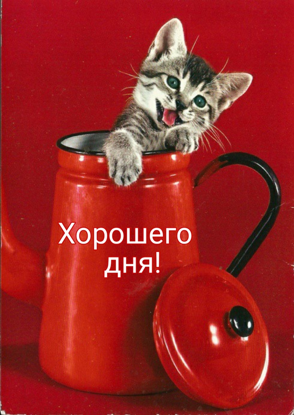 Хорошего дня!