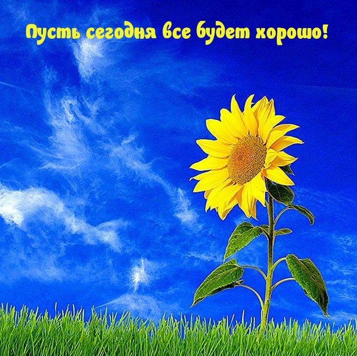 Пусть сегодня все будет хорошо!