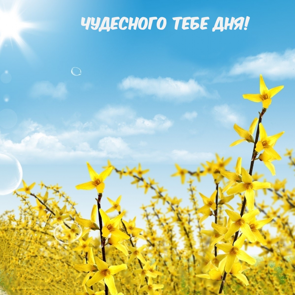 Чудесного тебе дня!