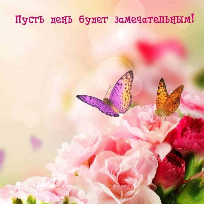 Пусть день будет замечательным!