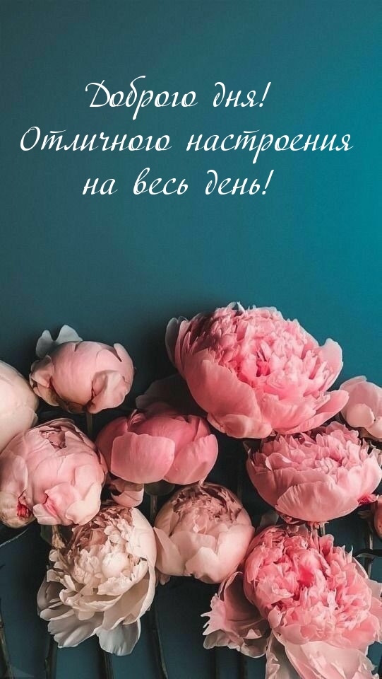 Доброго дня! Отличного настроения на весь день!