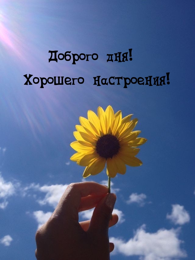 Доброго дня! Хорошего настроения!