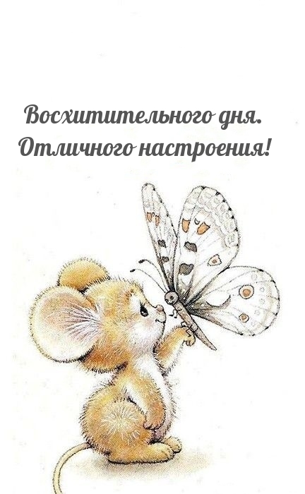 Восхитительного дня. Отличного настроения!