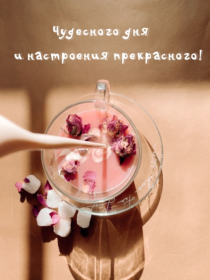 Чудесного дня и настроения прекрасного!