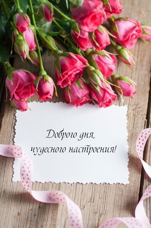 Доброго дня, чудесного настроения!