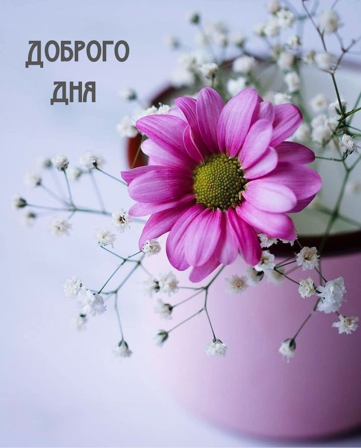 Доброго дня