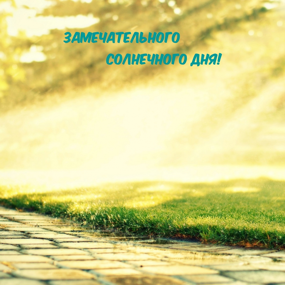 Замечательного солнечного дня!