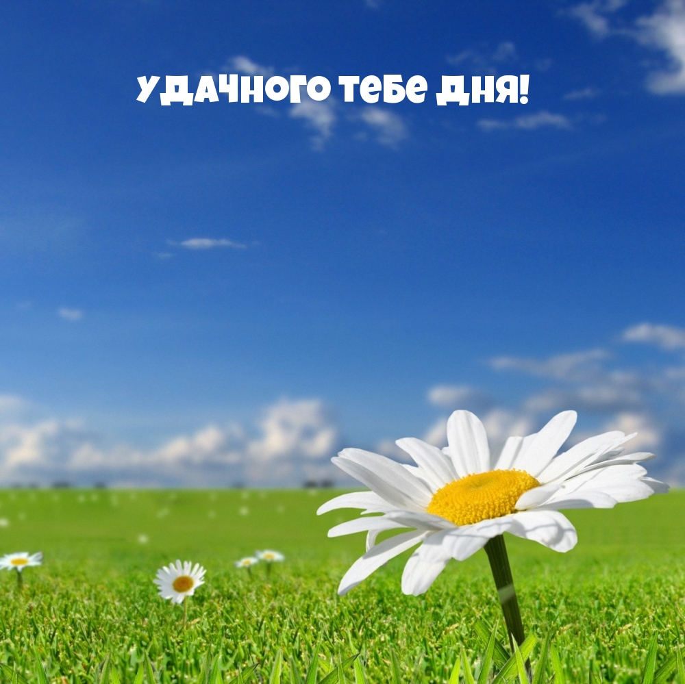 Удачного тебе дня!