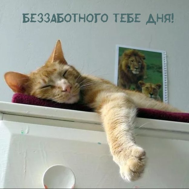 Беззаботного тебе дня!