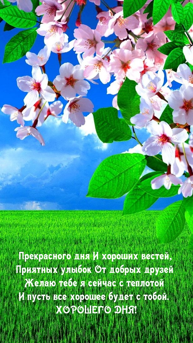Прекрасного дня И хороших вестей!