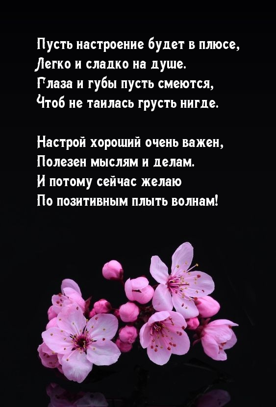Пусть настроение будет в плюсе