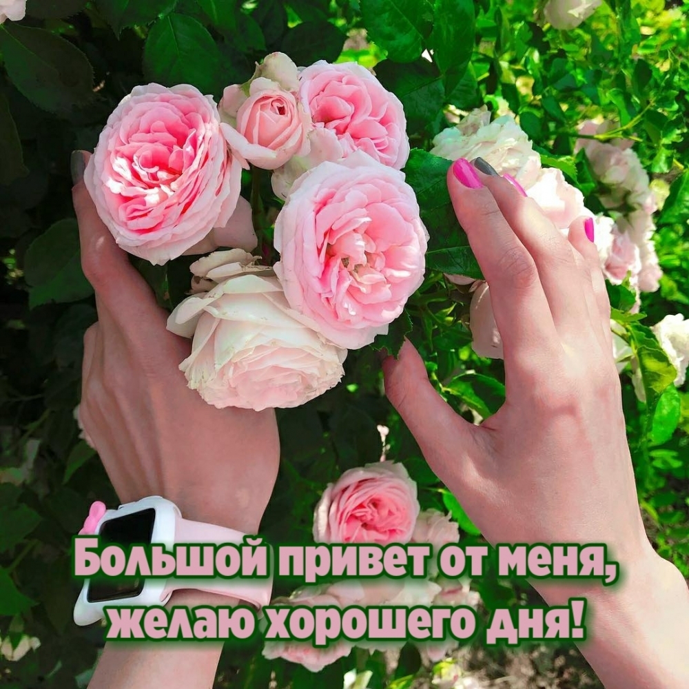 Большой привет от меня, желаю хорошего дня!