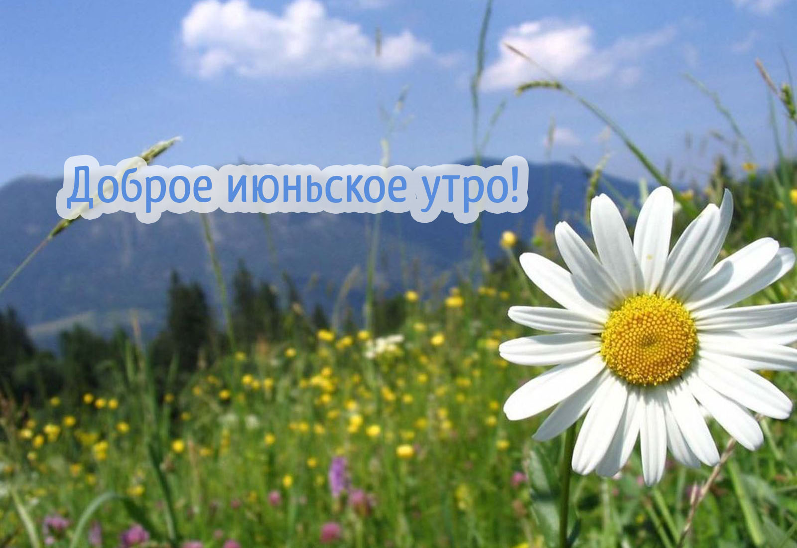 Доброе июньское утро!