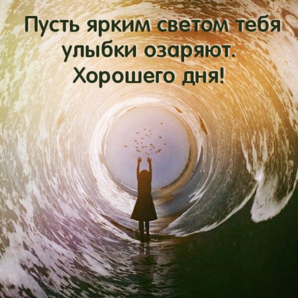 Пусть ярким светом тебя улыбки озаряют. Хорошего дня!