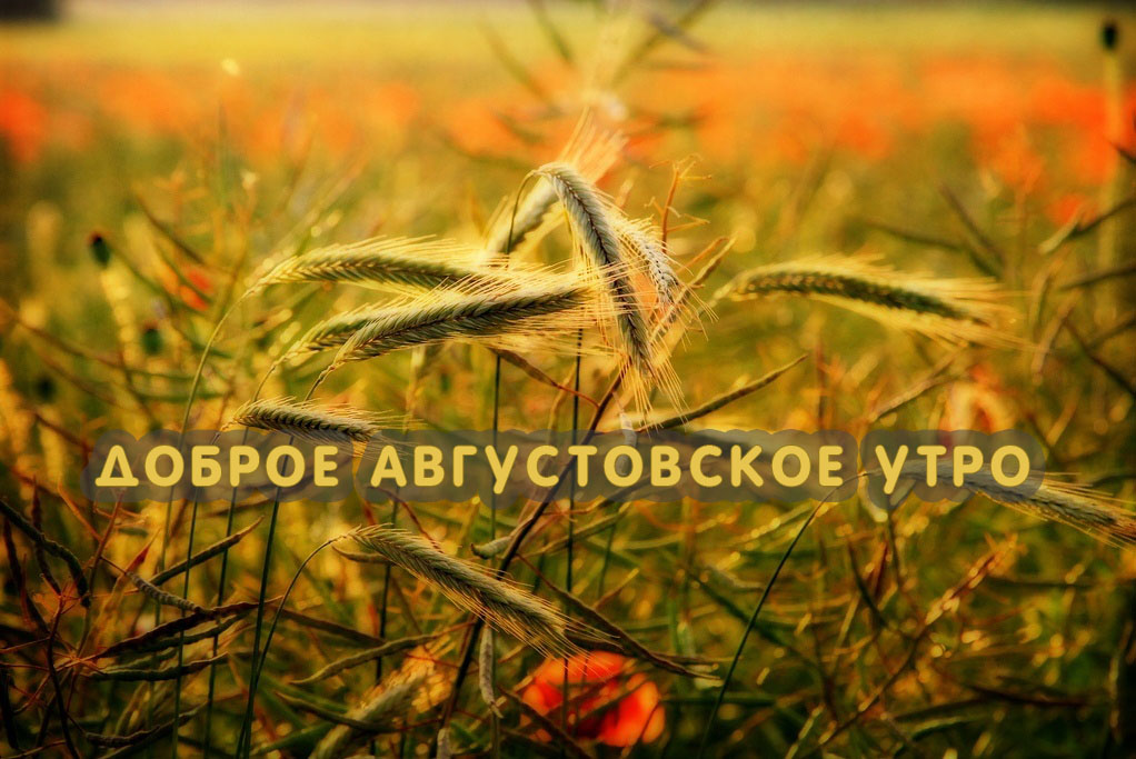Доброе августовское утро!