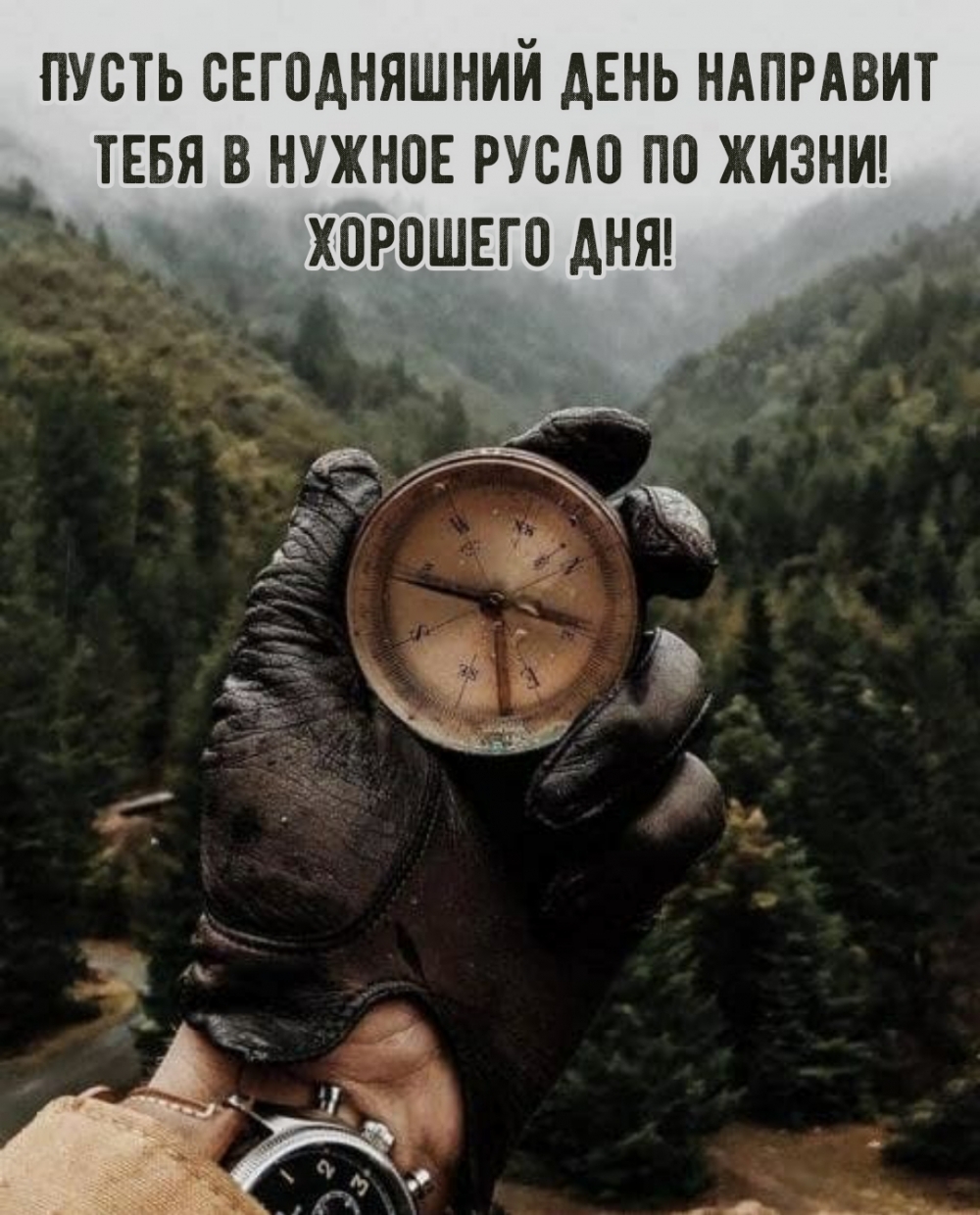 Пусть сегодняшний день направит тебя в нужное русло по жизни!
