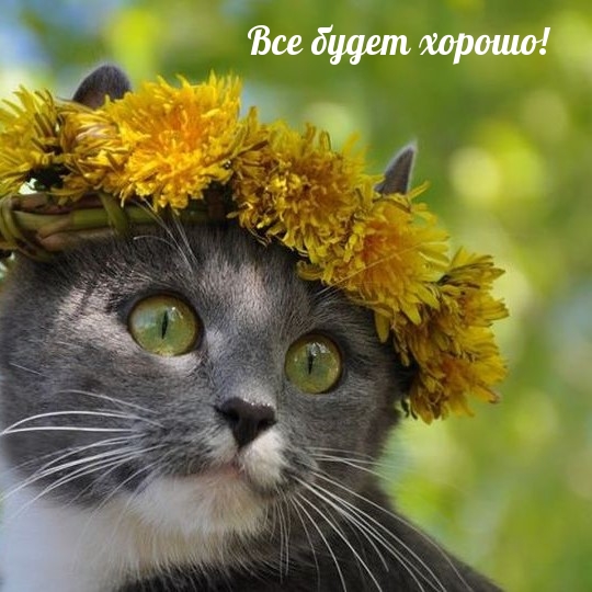 Все будет хорошо!