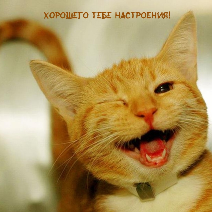 Хорошего тебе настроения!