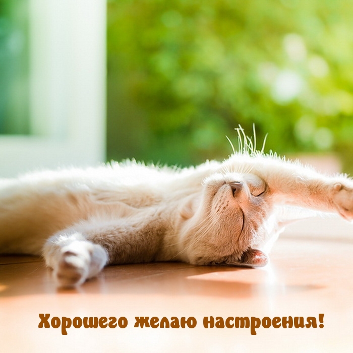 Хорошего желаю настроения!
