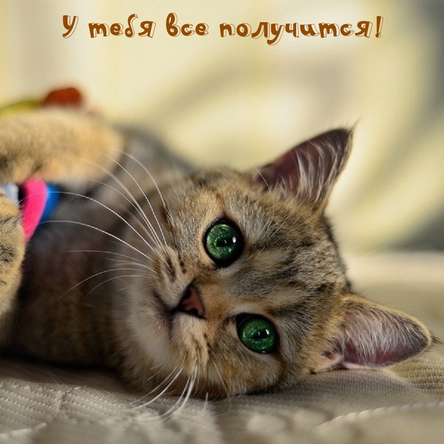 У тебя все получится!