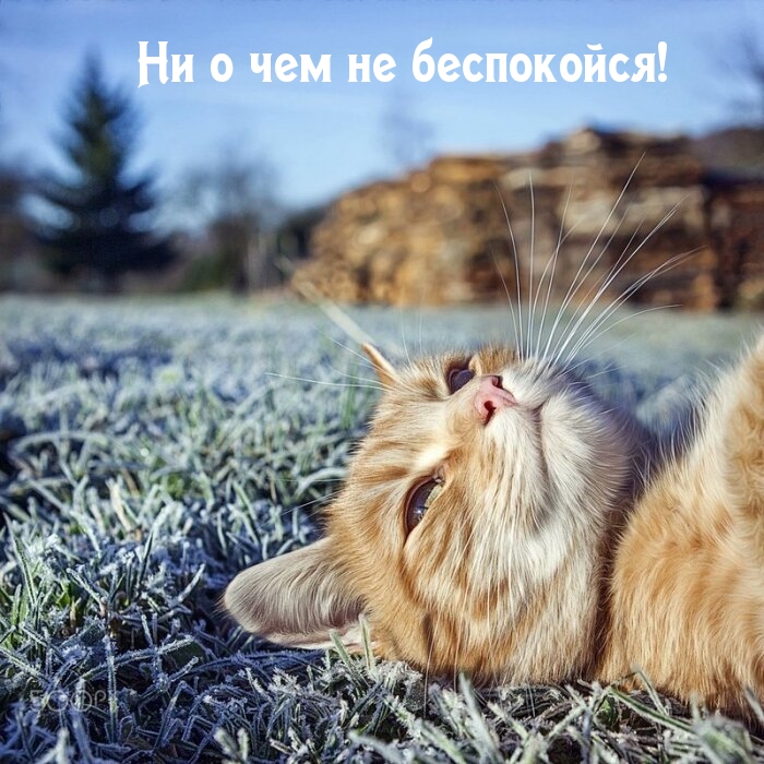 Ни о чем не беспокойся!