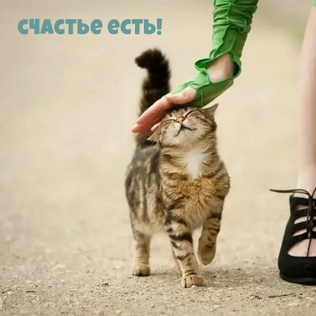 Счастье есть!