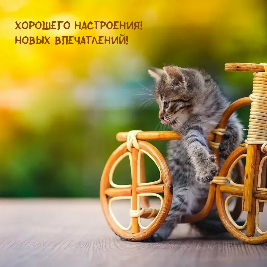Хорошего настроения! Новых впечатлений!
