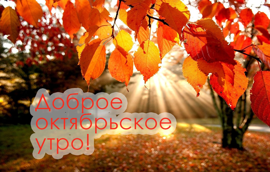 Доброе октябрьское утро!