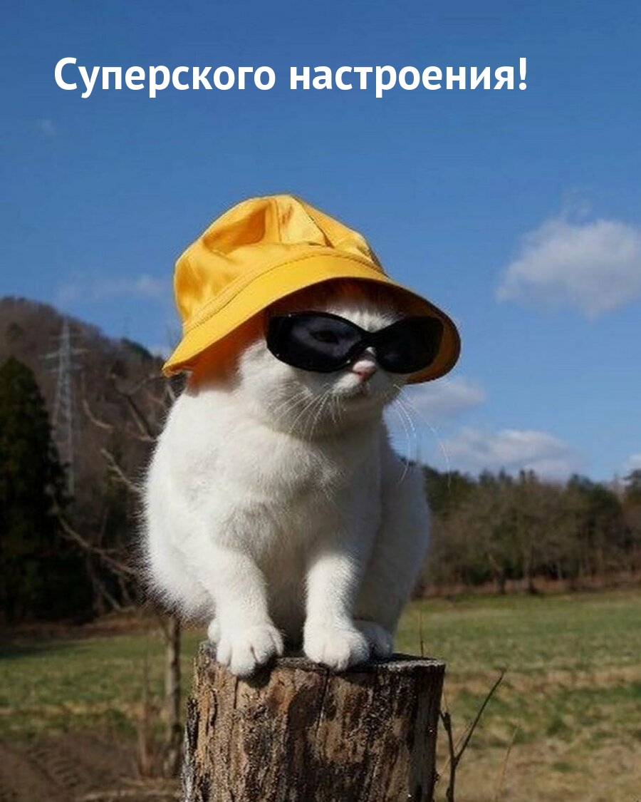 Суперского настроения!